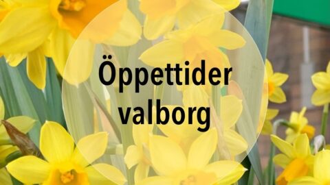 Öppettider valborg