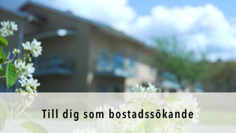 Till dig som bostadssökande