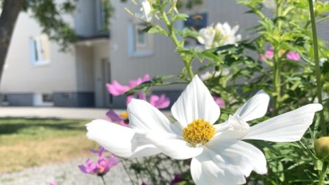 Information under sommar- och semestertider