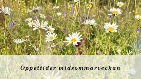 Öppettider midsommarveckan (v. 25)